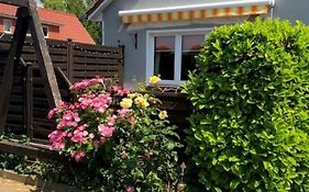 Ferienhaus Neumann - Ein ganzes Haus für Ihren Urlaub!